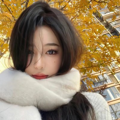 超级救援狗